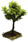 Archivo:3 StoneAge Tree.png