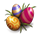 Archivo:Eggs2.png